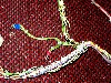 013C_New_spinal_cord_section.jpg