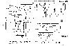 6401_aztarac_schematic_HI_RES.jpg